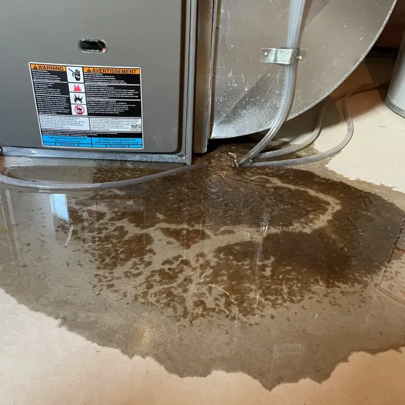 Appliance Leak Cleanup in Columbia County, FL